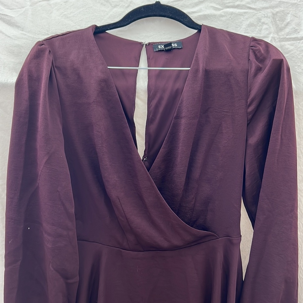 Express Dress - Picture 4 of 7